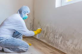 Best Residential Mold Inspection & Testing  in Lebanon, TN